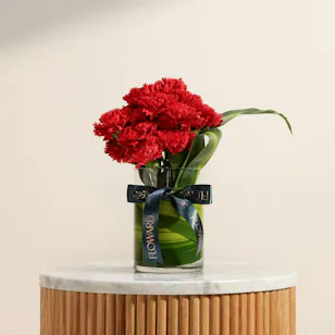 Astounding Red Carnation Vase Astounding Red Carnation Vase