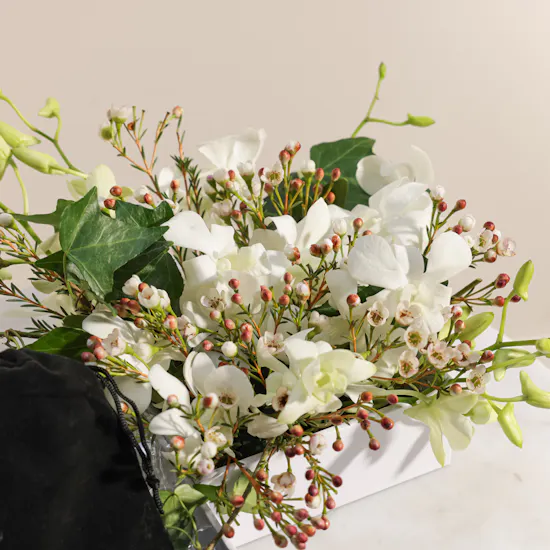 Mubkhar Siyoufi Bukhor | White Blooms