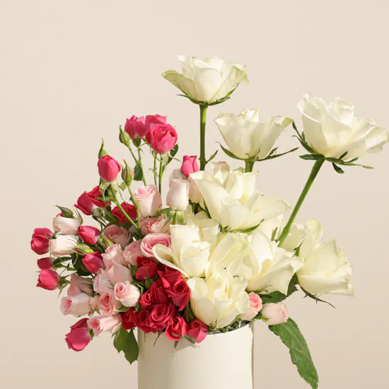 Madeleine Congrats Big Bow Cake | Endless Flowers Box