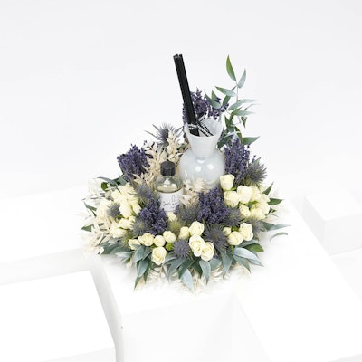 Soft White with Line Fragrances