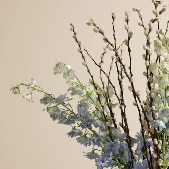 Soft Sky Light Blue Delphinium Vase
