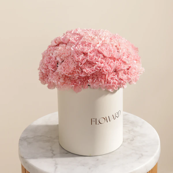 Lush Pink Carnation Box | 35 Flowers