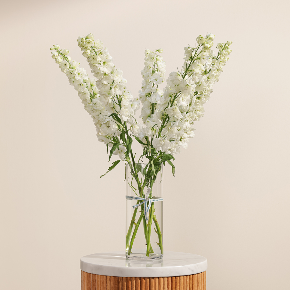 Pure Delphinium Vase