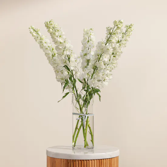 Pure Delphinium Vase
