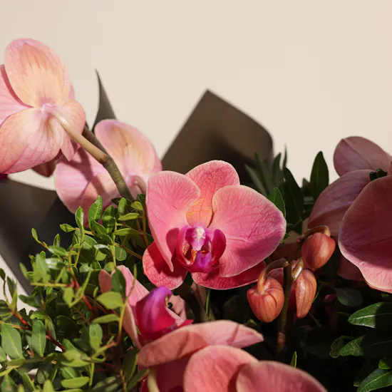 Coral Beauty Flower Bouquet