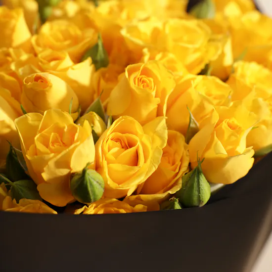 Bright Blooms Bouquet | 18 Baby Roses