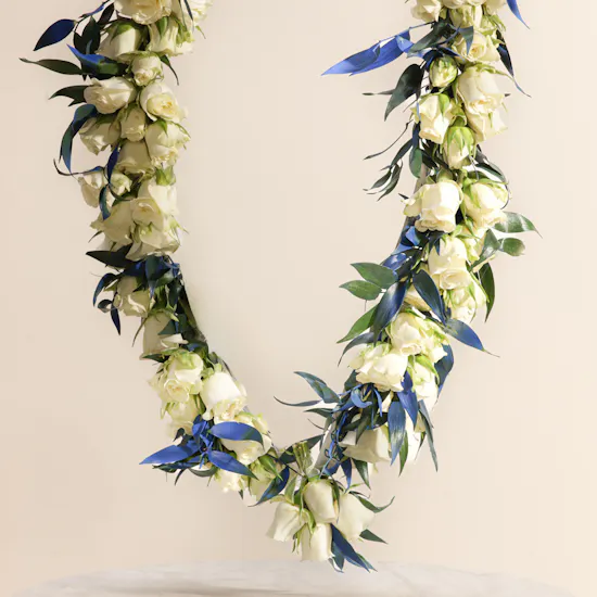 Cheerful Baby Rose White Hoop