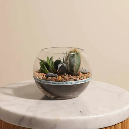 Cactus Open Terrarium Bowl