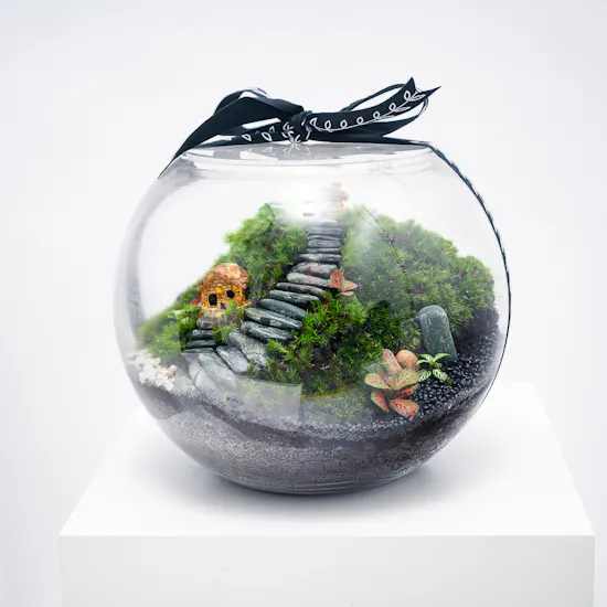 Little Forest Cottages | Closed Terrarium