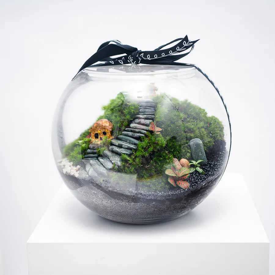 Little Forest Cottages | Closed Terrarium  1