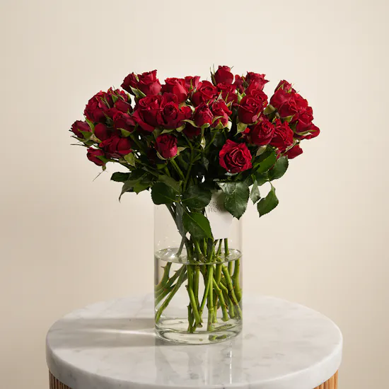 Scarlet Charm Baby Rose Vase