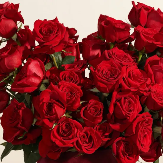 Heartbeat Red Roses Box