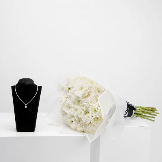 Felizmoda Silver Small Diamond Necklace