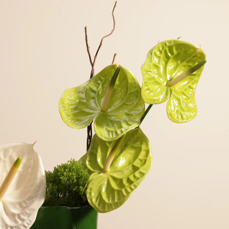 Enchanting Petals Display | Keramos Vase 6