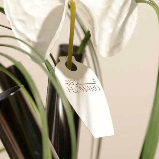 Charming Tangled Anthuriums