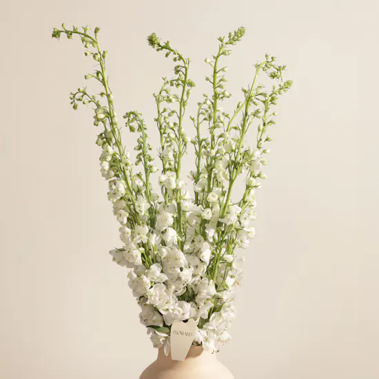 Keramos Studio Legacy Najdi Doors Flower Vase