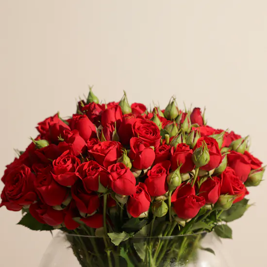 Red Baby Roses Vase | 35 Flowers