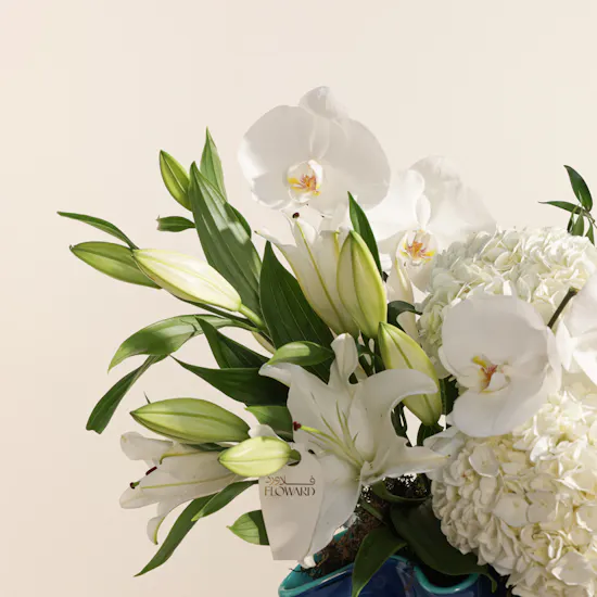 White Grace Flower Vase