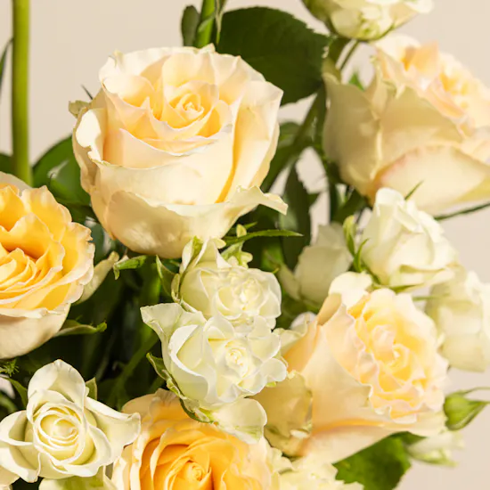 Golden Bloom Flower Box