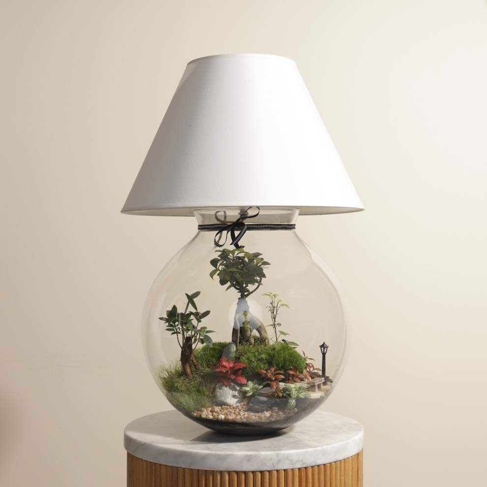 تيراريوم إشراقة الطبيعة