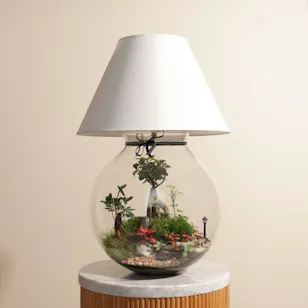 Nature's Glow Terrarium