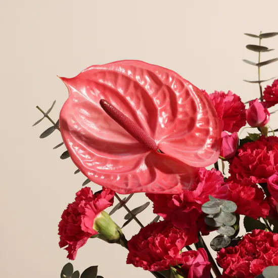 Festive Fuchsia Flower Vase
