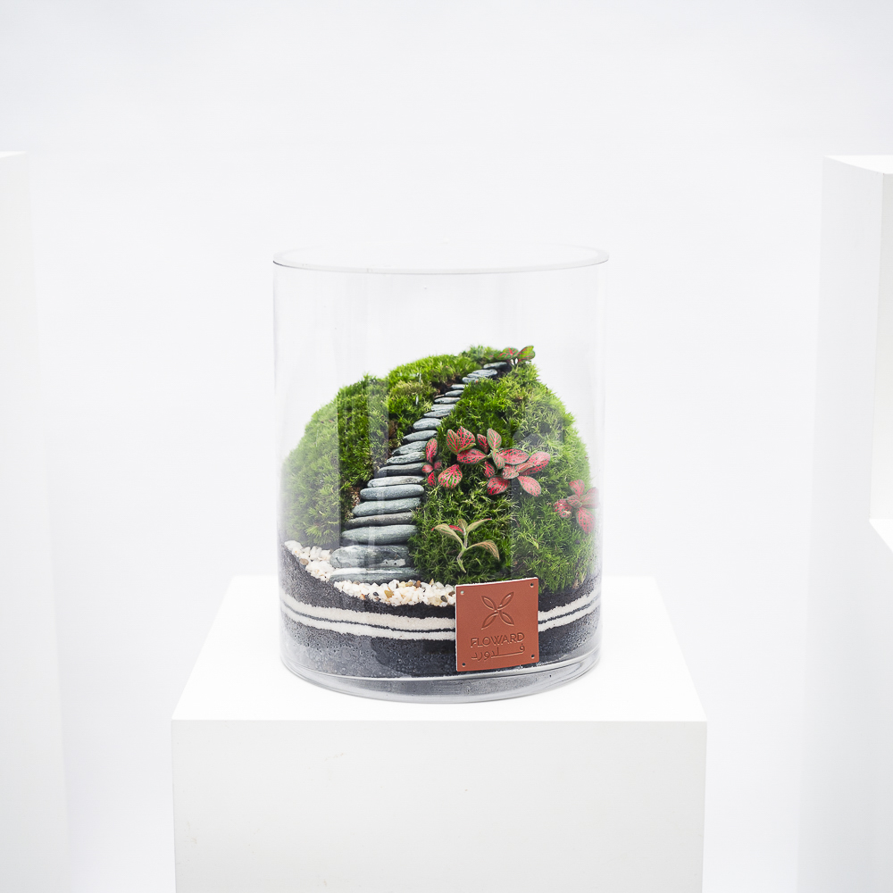 الغابة الصغيرة المبهجة | تيراريوم مغلق