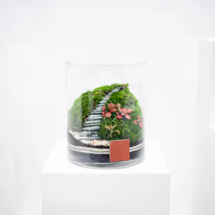 Little Vibrant Forest | Closed Terrarium 