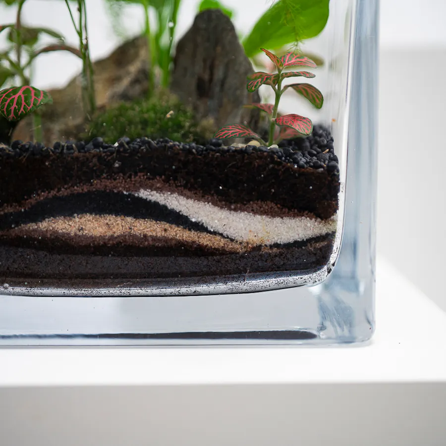 Vivid Tropical Garden | Closed Terrarium  3