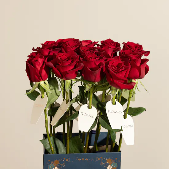 Teacher's Day Roses Giveaway