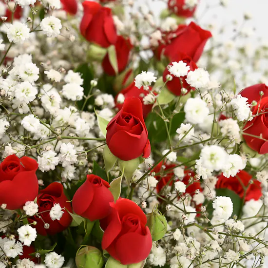 Red & White Congrats Vase