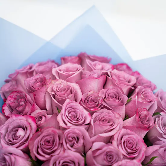 35 Purple Roses | Happy Birthday