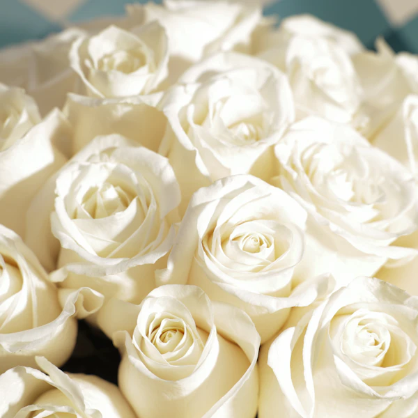 Elegant White Roses Bouquet | 50 Roses