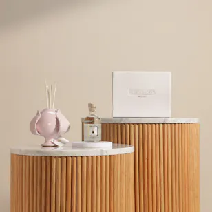 Erbolinea Diffuser and White Musk Home Fragrance with Sticks | 100 ml Erbolinea Diffuser and White Musk Home Fragrance with Sticks | 100 ml