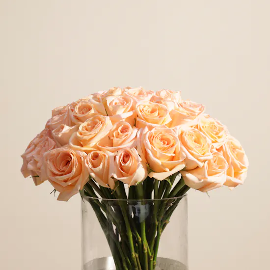 Stunning Peach Rose Vase | 50 Roses
