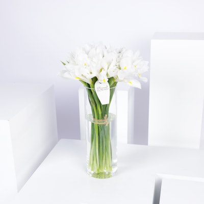 White Iris Vase
