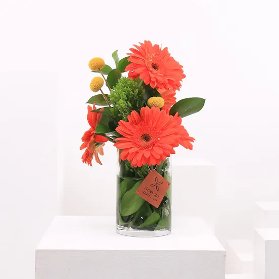 Orange Gerbera | 10 Flowers