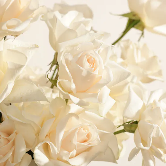 Charming White Rose Box
