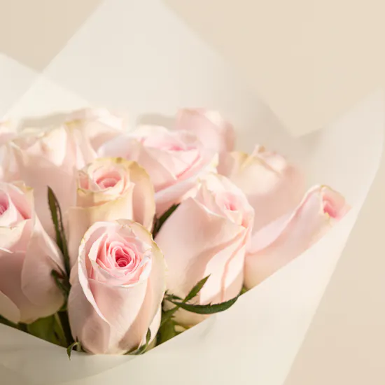 Elegant Pink Roses Bouquet | 12 Roses