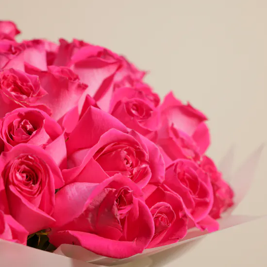 Magnificent Fuchsia | 100 Rose Bouquet