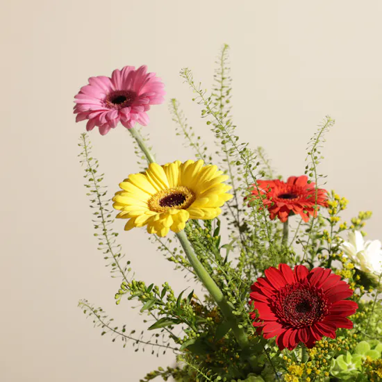 Color Carnival Flower Vase