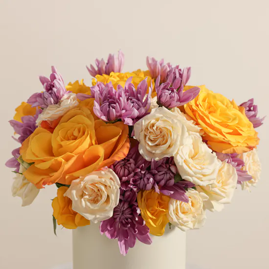 Apricot Waltz Flower Box