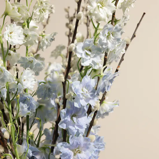 Soft Sky Light Blue Delphinium Vase