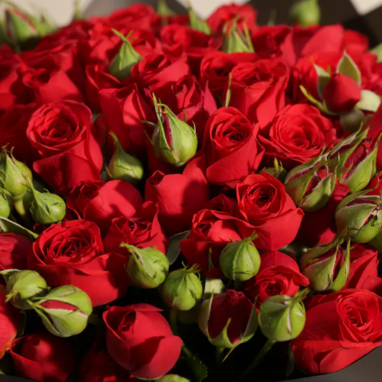 Majestic Red Bouquet | 25 Flowers