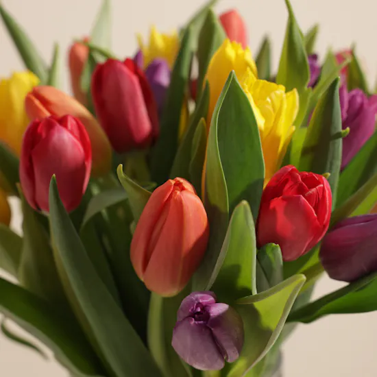 Elegant Tulip Vase