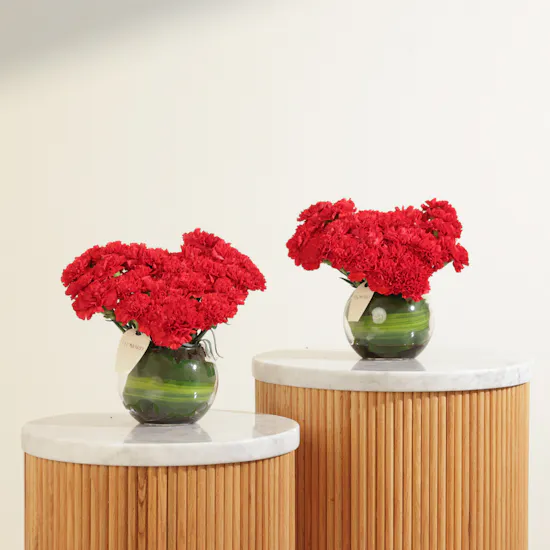 Velvet Promise Duo Carnation Vase