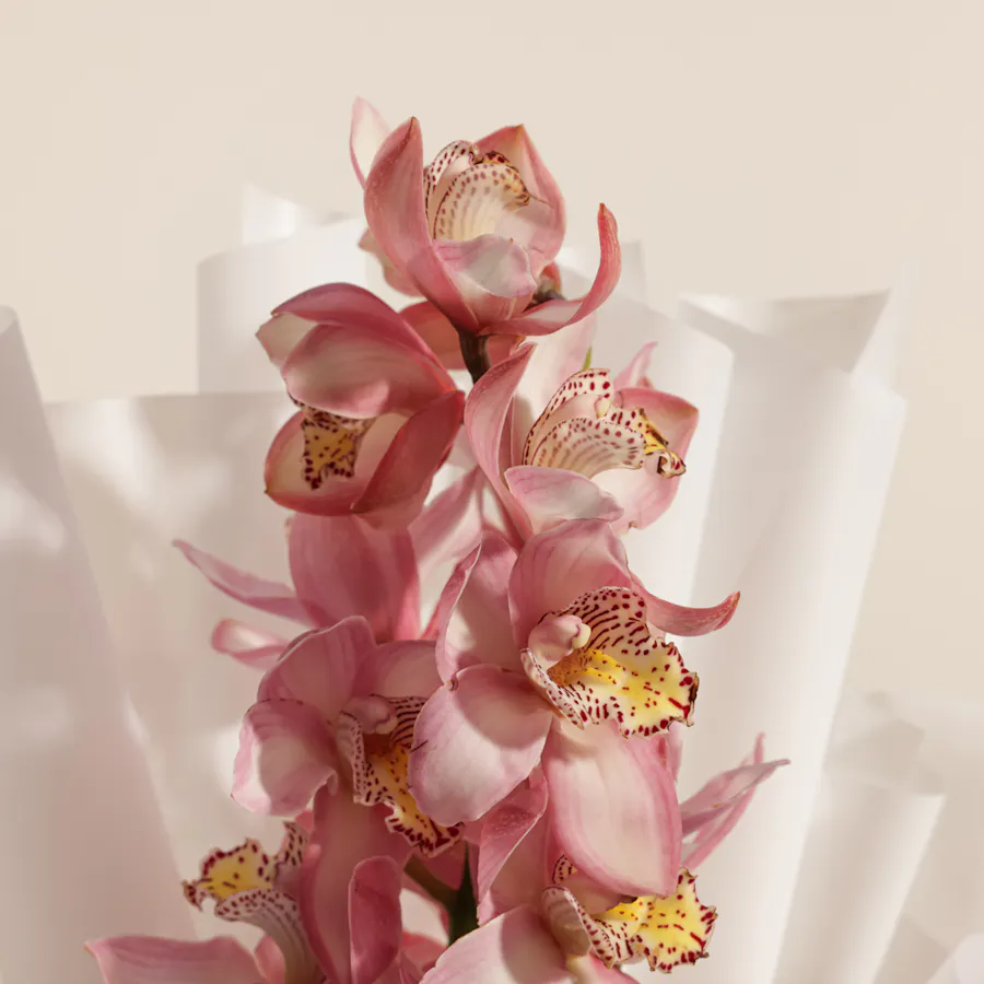 Pink Cymbidium Bouquet 3