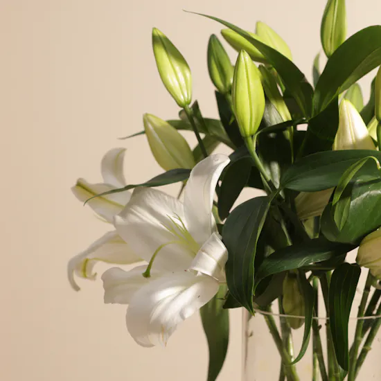 Elegant White Lily Vase | 12 Flowers