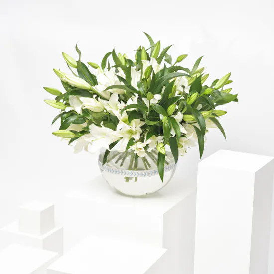 White Beauty | Flower Vase