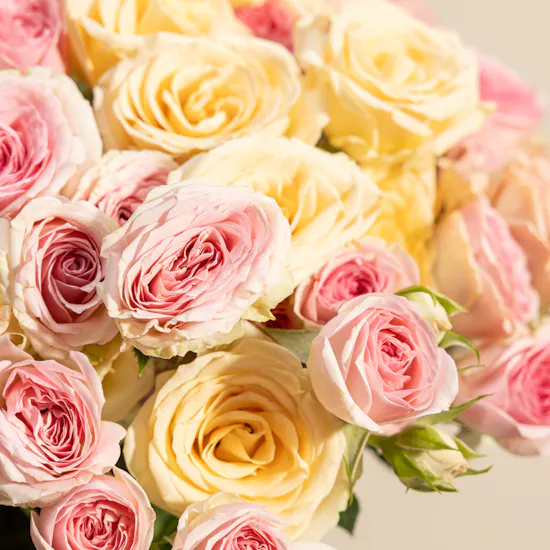 Soft Whisper Baby Roses Vase